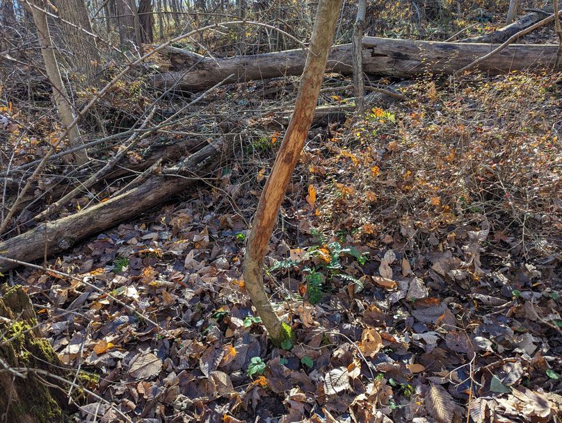 PXL_20231103_153112273