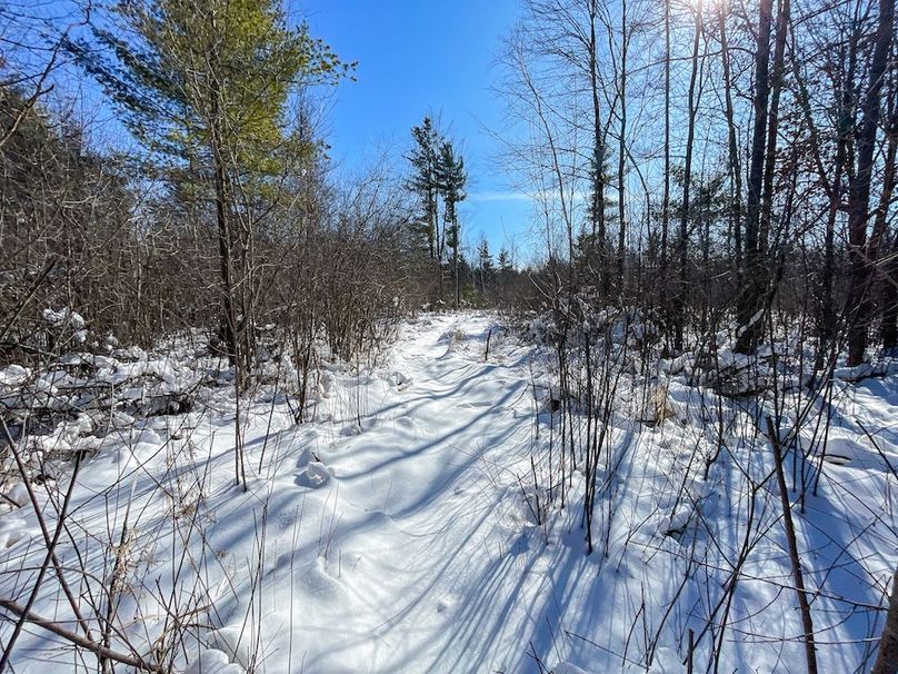 Portage 13.596, Van Asten-20