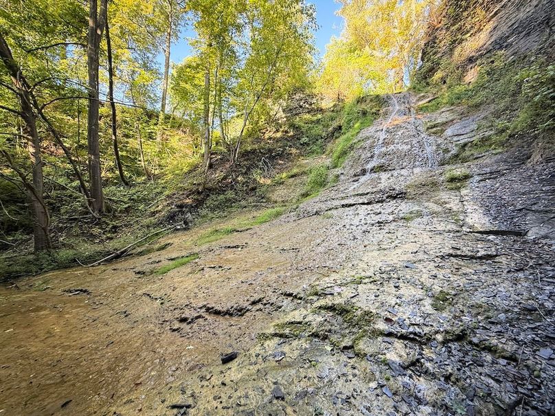 Seneca_65_Engels Photo 41a