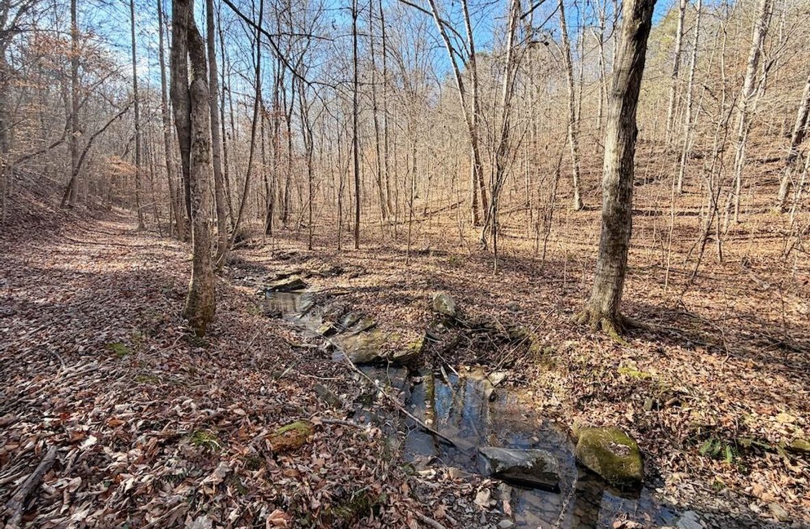 Roane Co TN 396 20251127_04