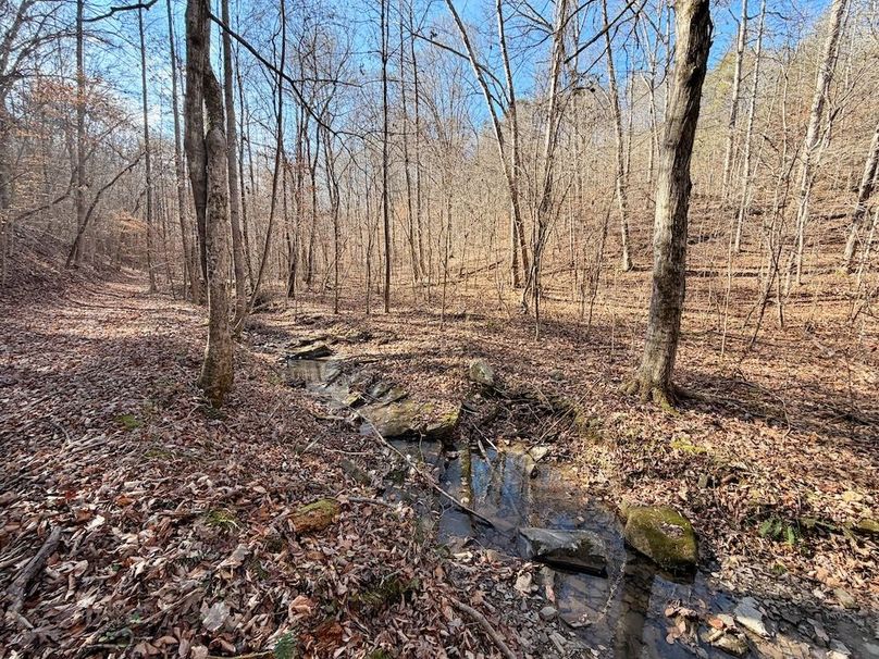 Roane Co TN 396 20251127_04