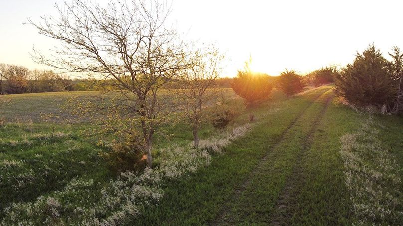 MONTGOMERY CO IA. 156.78_44