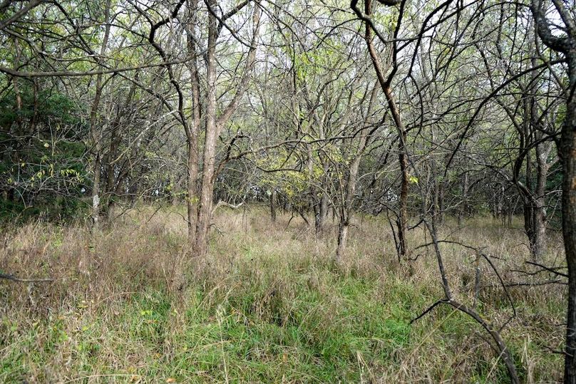 Dickinson Co, 154.5_018