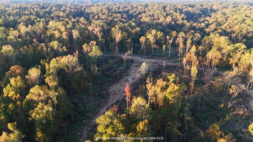 Claiborne Co-151-Geronimo-34