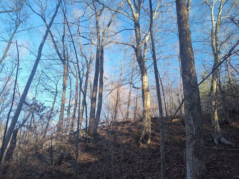 IMG_20240302_165021696