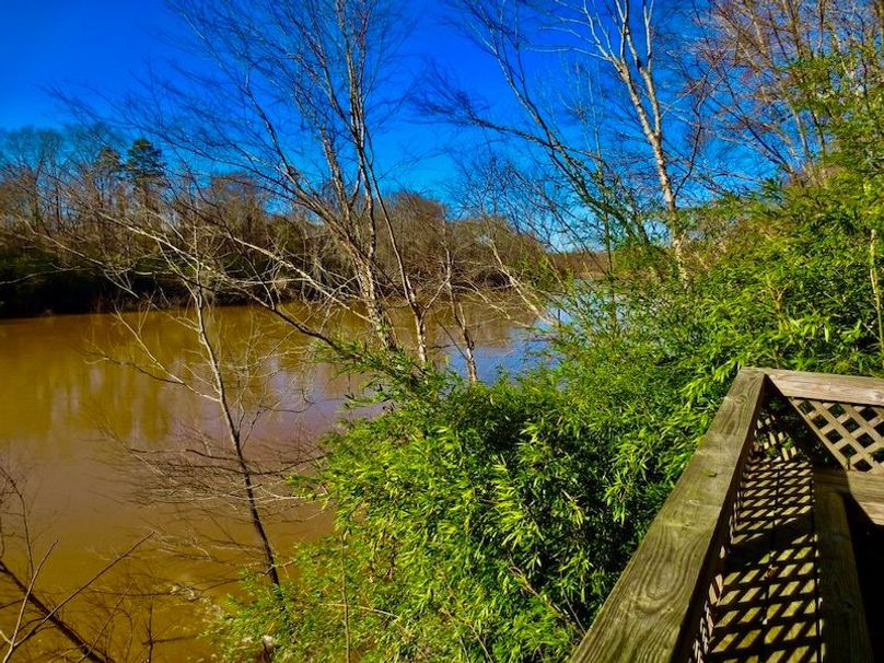 4389CE1B-AF5C-4C78-ACF1-D261C7C5D0A4_1_105_c