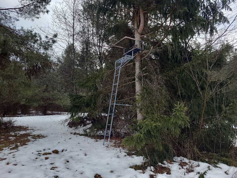 photo_6b85a247-0822-4a66-a634-5b875083d06e