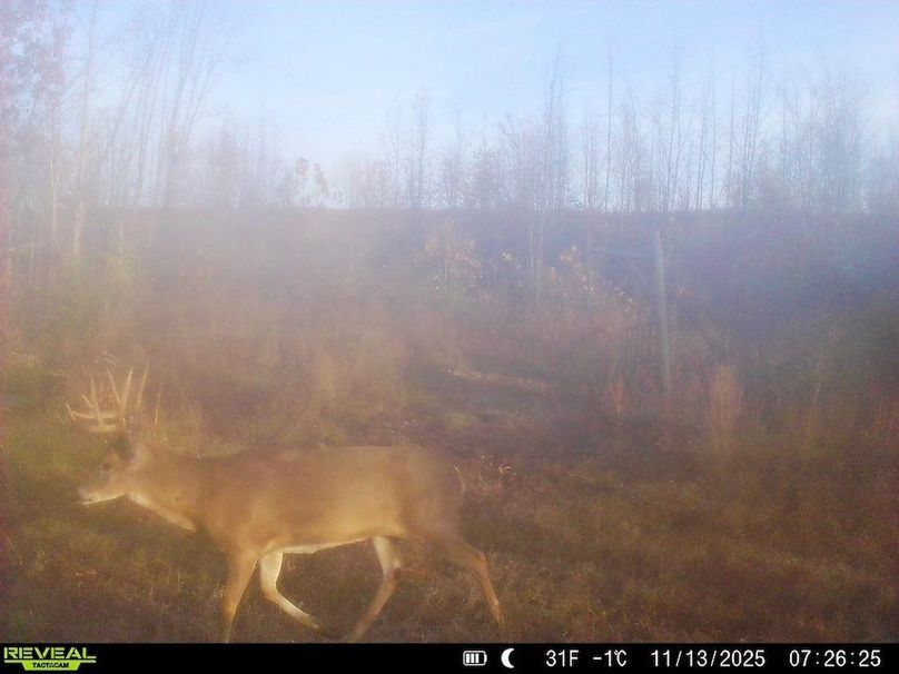 860516067719439-50-4-11132025072626-W1016955