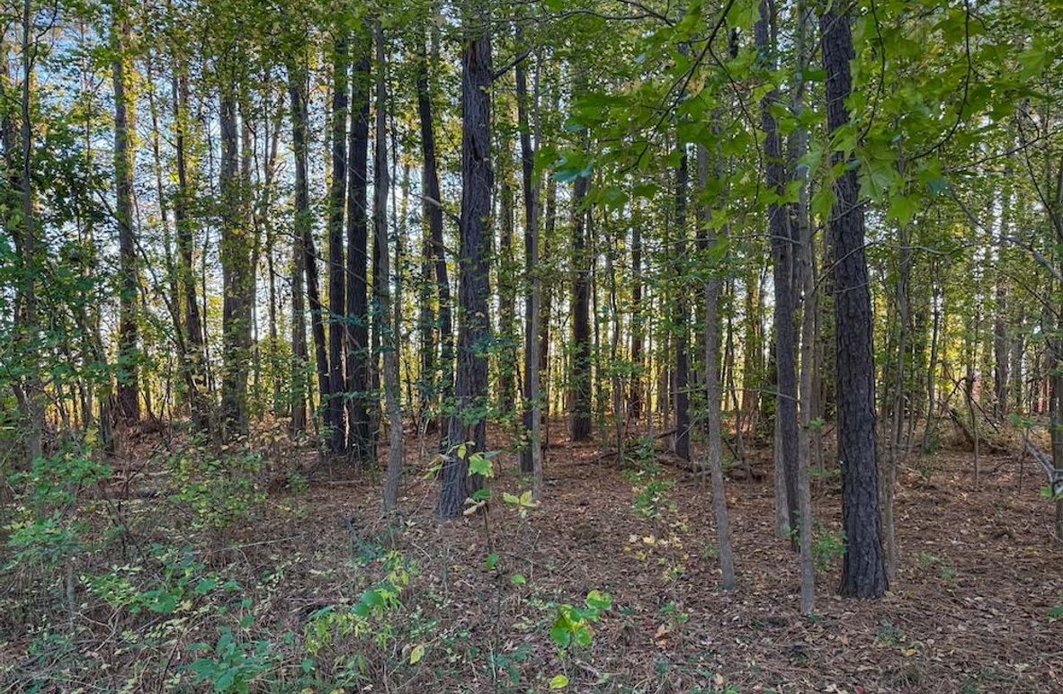 Matt Ransom 1 Acre Lot 2