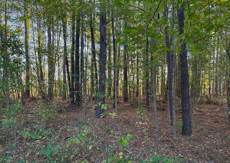 Matt Ransom 1 Acre Lot 2