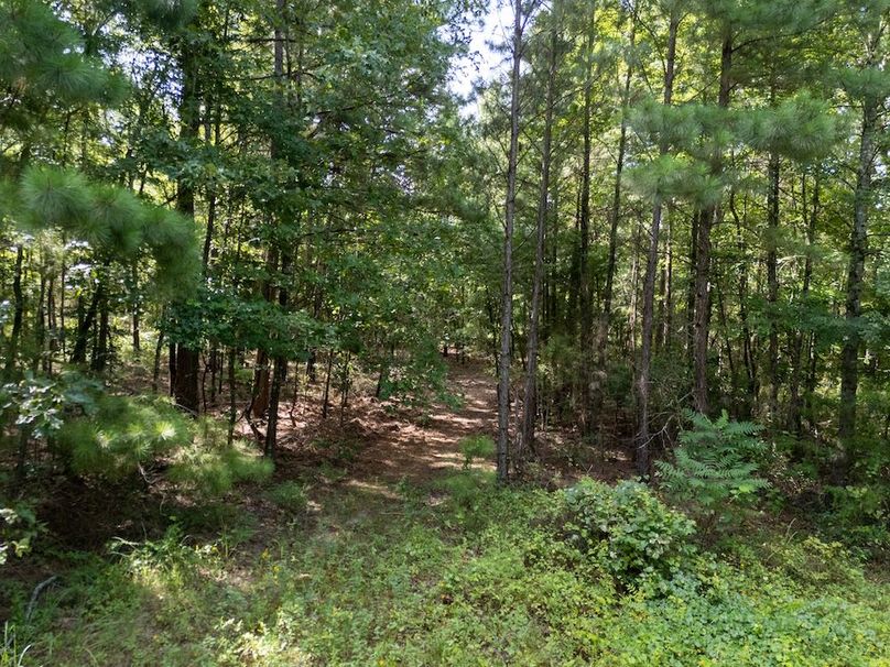 15 Upshur Co. 26ac - Genignani-24
