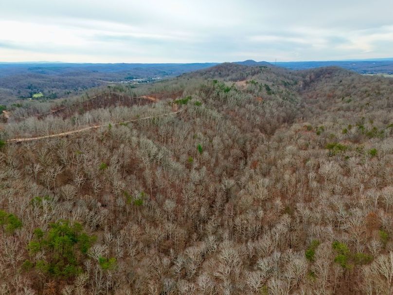 Roane Co TN 396 20251127_13