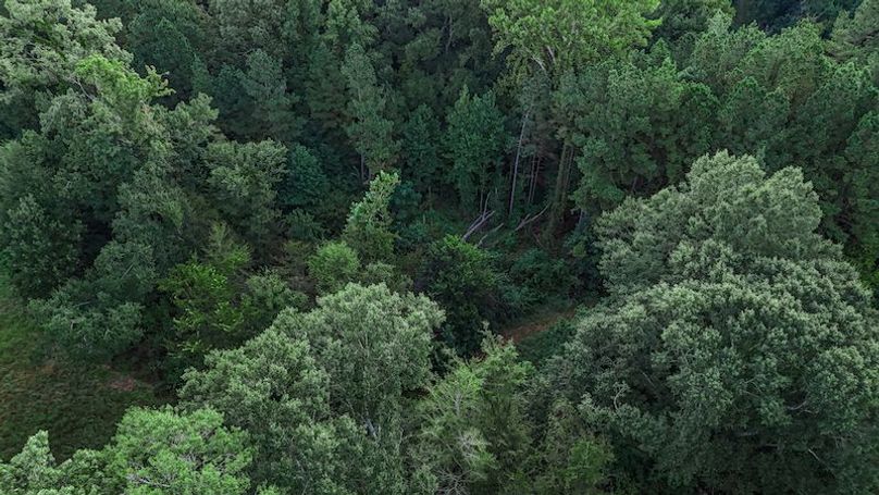 Hinds Co - 78 - Newman-10