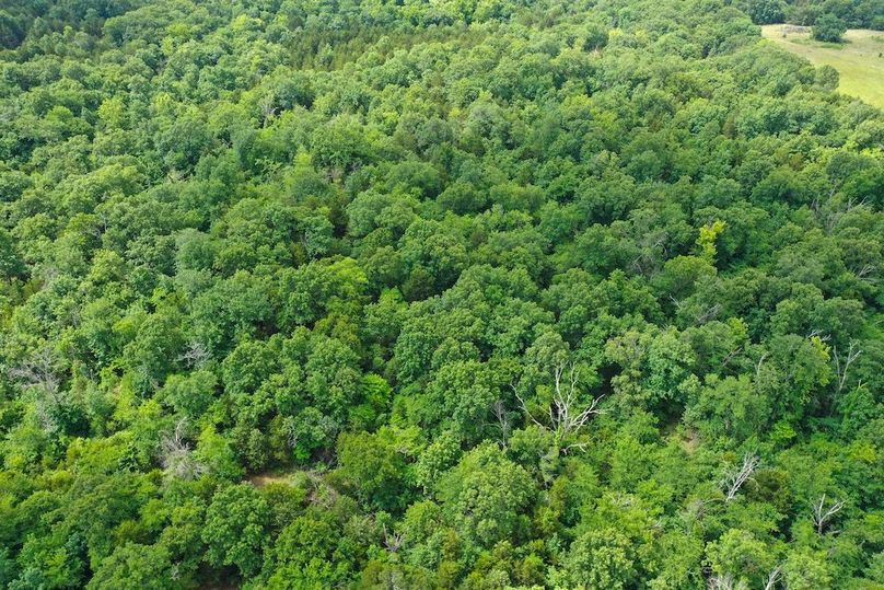 DJI_0329