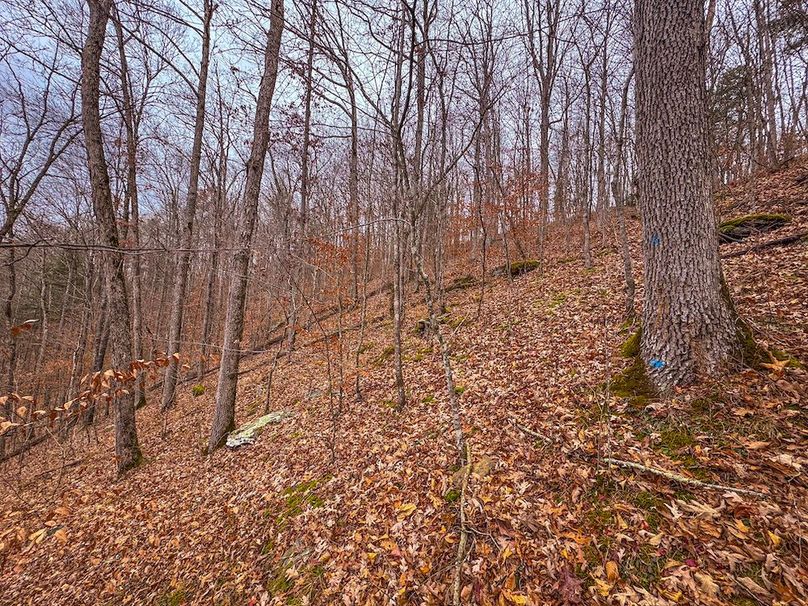 Ritchie, WV 15.5 AC Harper-07