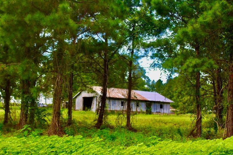 9A7E4570-AFB1-4260-AD44-7089F70C4200_1_105_c