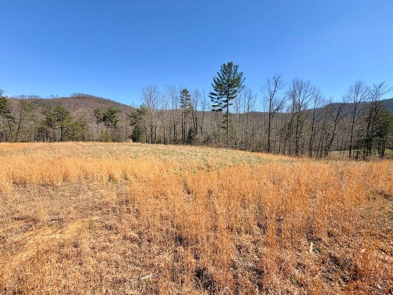 Morgan Co TN 310.833 Schneller_69