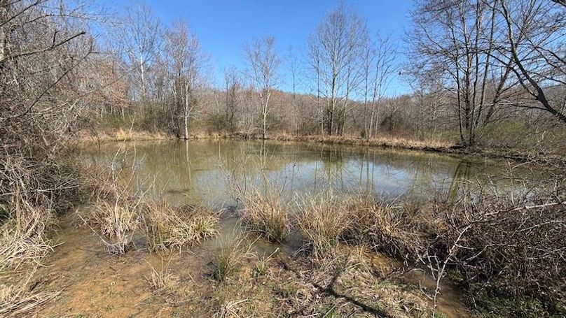 Butler 118 Capella30