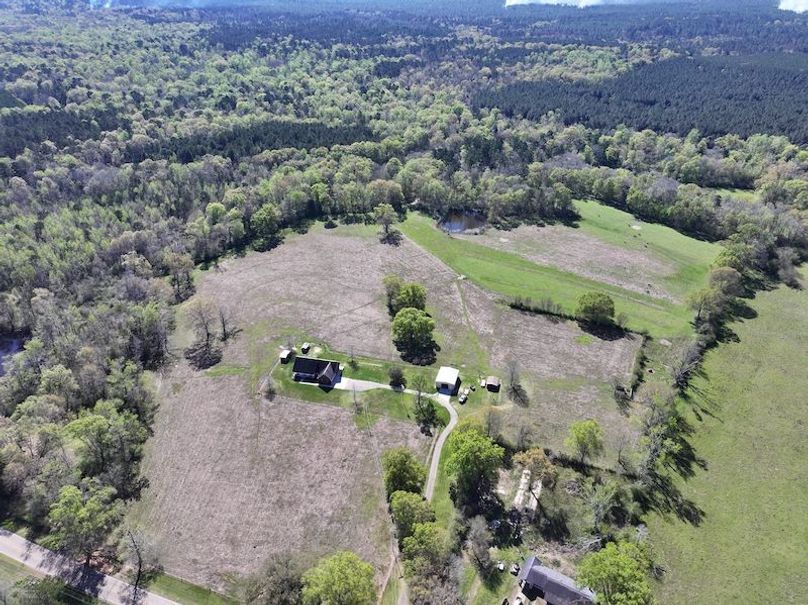 dji_fly_20260317_085310_0383_1773768884529_photo