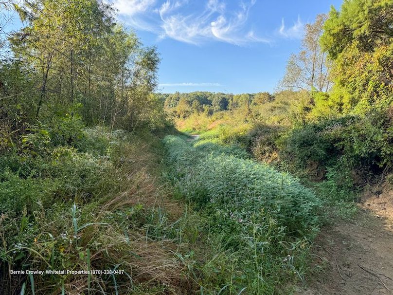 DeSoto 109 Prewett -33