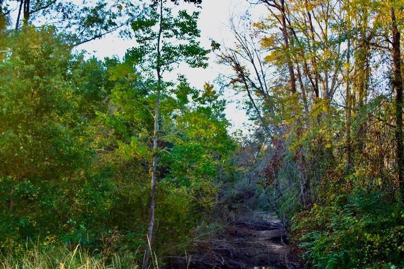 94661665-3507-439F-B0F3-5D8273C3292D_1_105_c