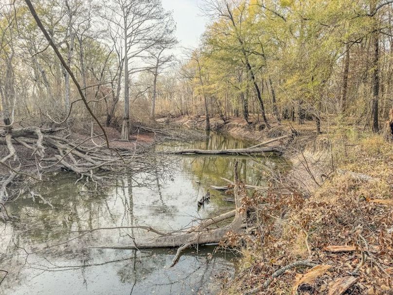 St. Francis 216.9 Calvin Parker Farms Profile -22