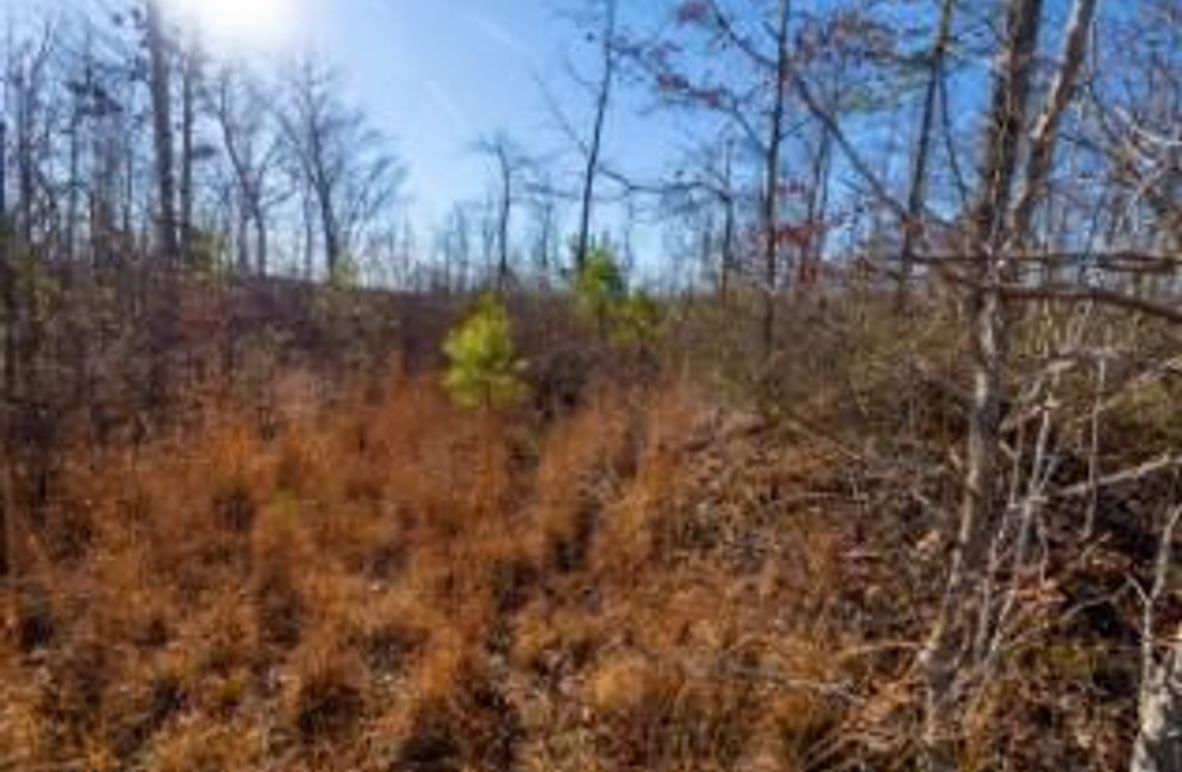 MCKINNON TRACT 15-07