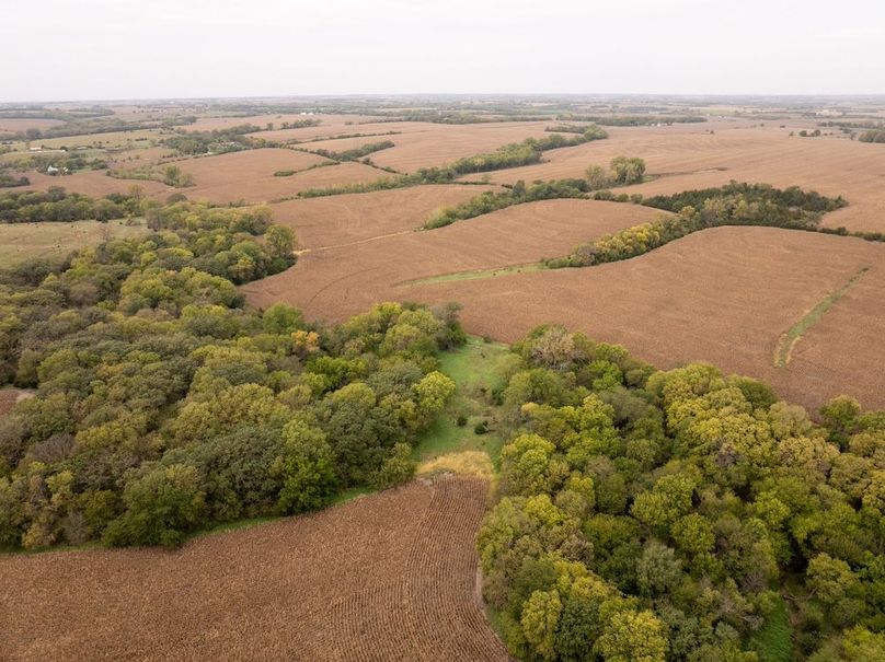 DJI_20251011101436_0119_D