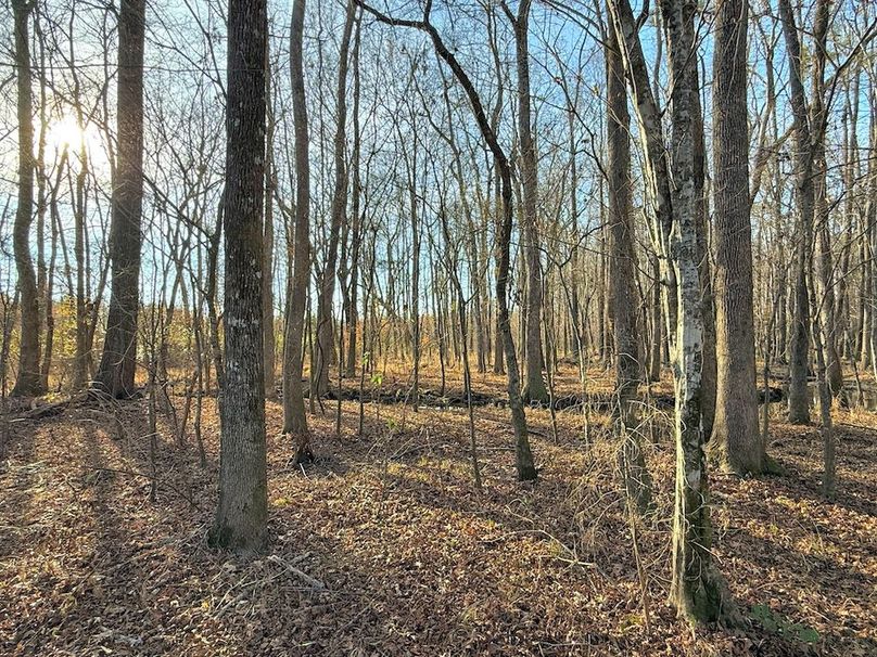 58DCEA56-DD4F-48DA-B60D-8E0641904A47