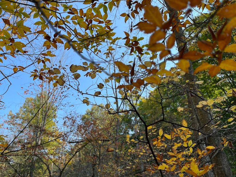 Yates_29_Stape Photo 8