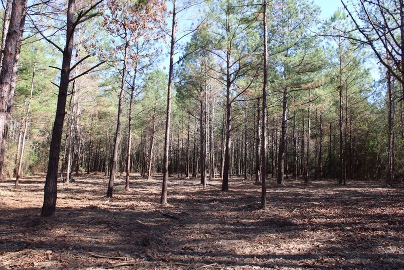 8492F682-04E9-4D96-BDFF-3D1ED7624141_1_105_c