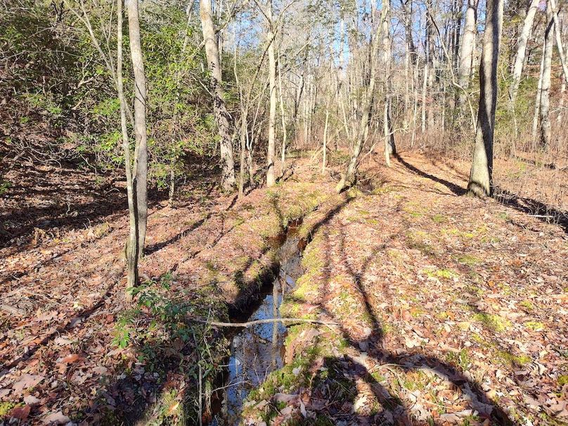 IMG_20251124_120333523_HDR