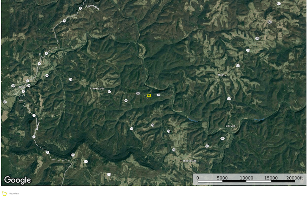 Buckhalter Google Far