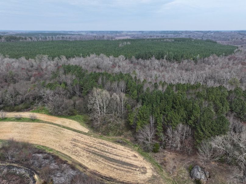 DJI_20240316121748_0014_D