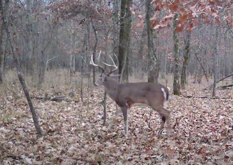 Screen Shot 2024-01-22 at 6.07.28 AM