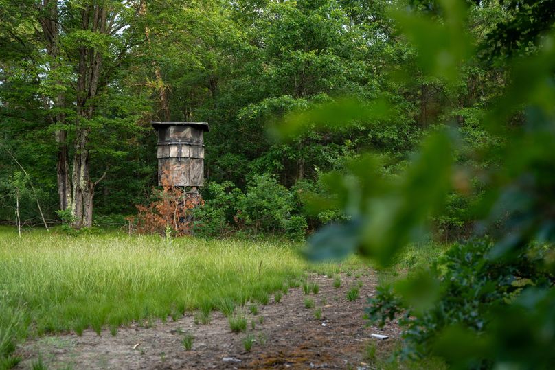 Ogemaw MI 475 Featured Pro Photo-742212