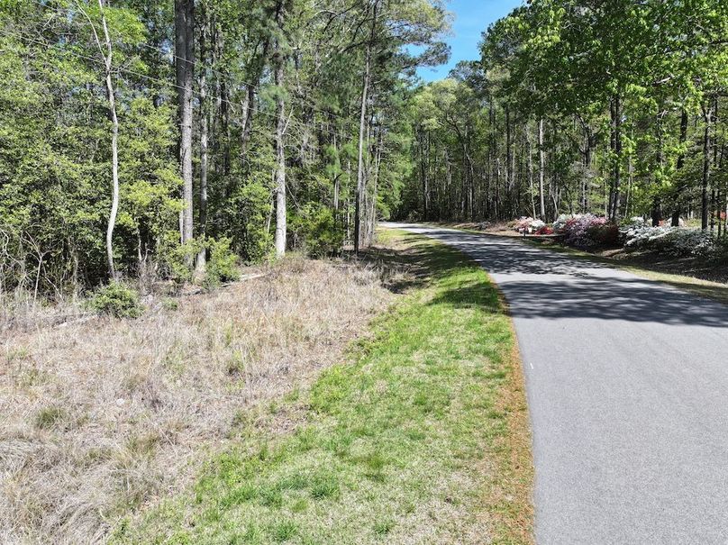 dji_fly_20260320_115028_0613_1776087141095_photo