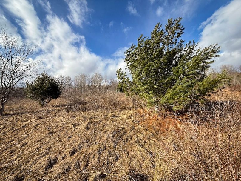 Chemung_59.65_Kocsis_photos_20