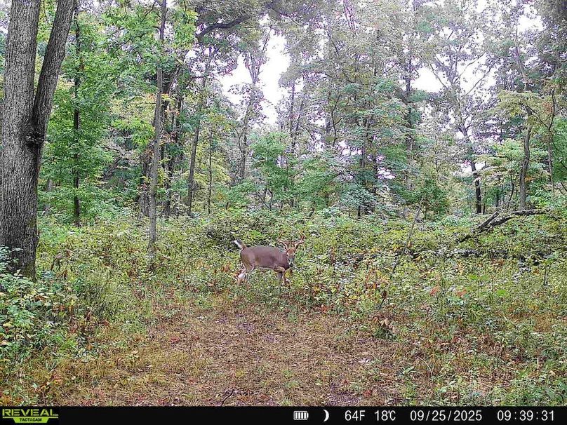 860322061882913-90-3-09252025111052-HD-SYFW1036