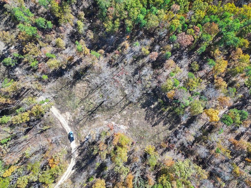 DJI_20251104130544_0846_D