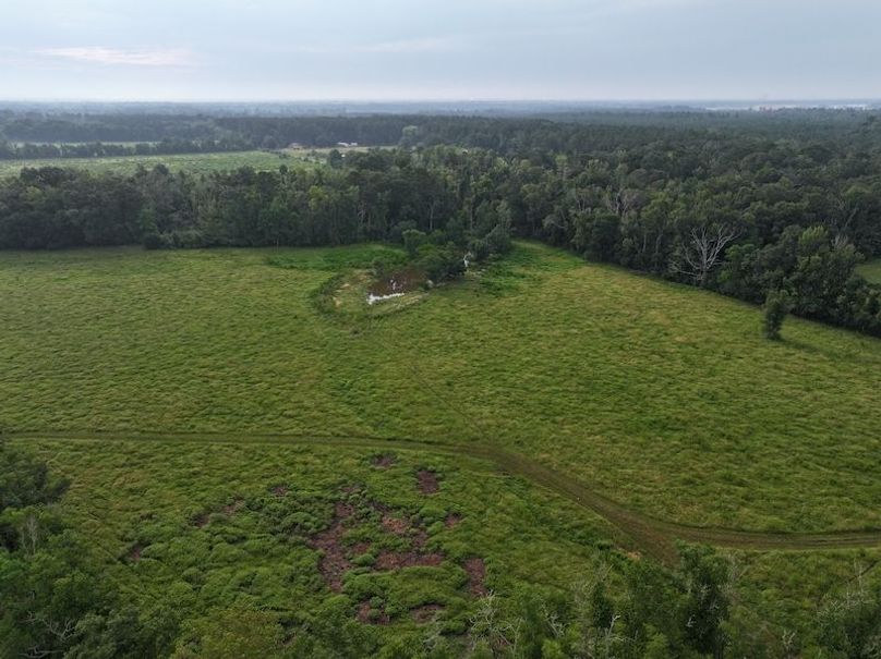 dji_fly_20250730_083052_0310_1753888801251_photo