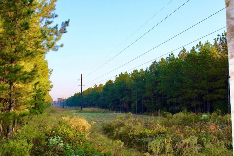 175420B9-BDC5-4B7C-9DF3-A26887AE26B1_1_105_c