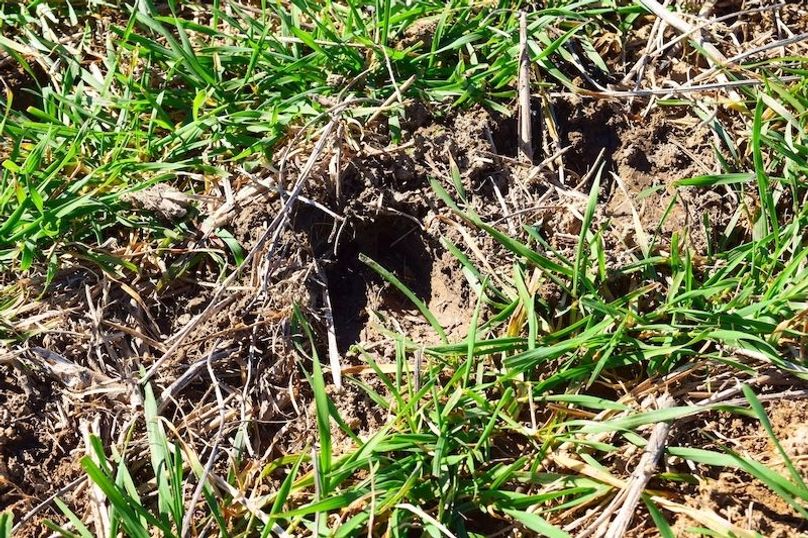 DSC_0040_inPixio (2)