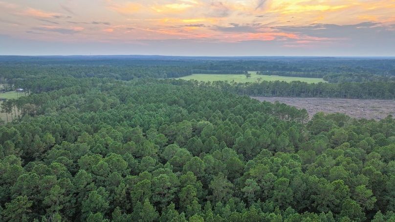 DJI_20250918190221_0302_D