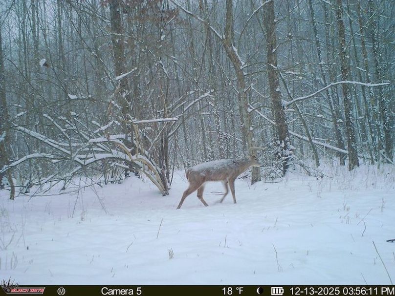 32785888-529B-48E0-9BD8-A5DB8A49FCB6