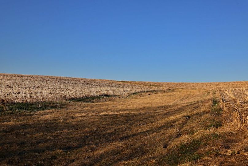 9 Buchanan 252.69 Tract 2