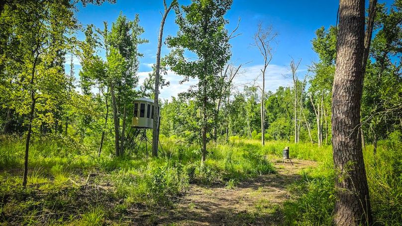 Copy of 6-20250710_100040