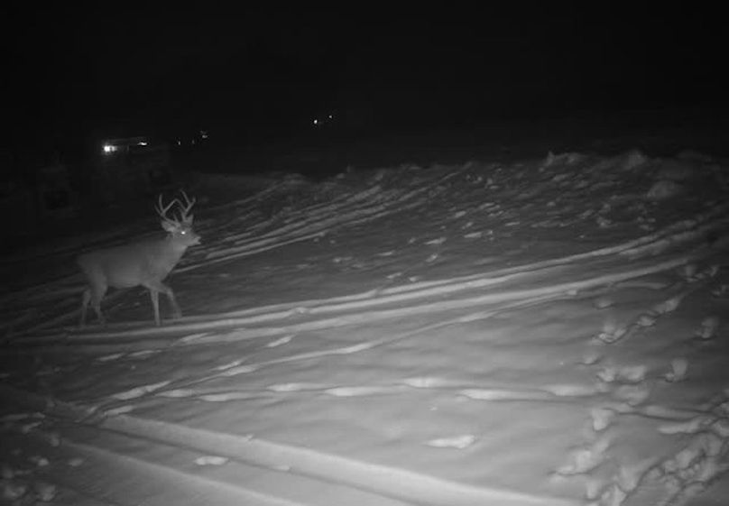 865509050092612-70-4-12092025033800-V-W1037936