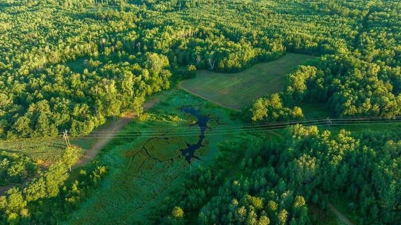 Cass MN 1095 Featured ProPhoto-66