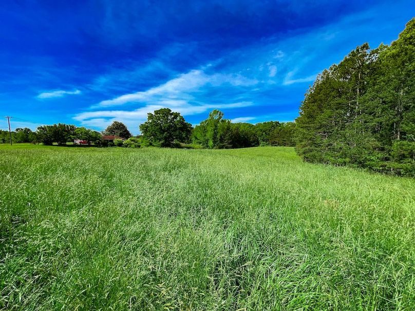 Haralson GA 100 McIntyre-43